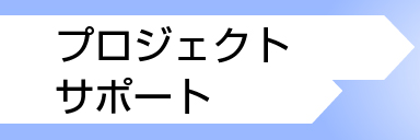 プロジェクトサポート