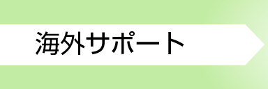 海外への出張サポート